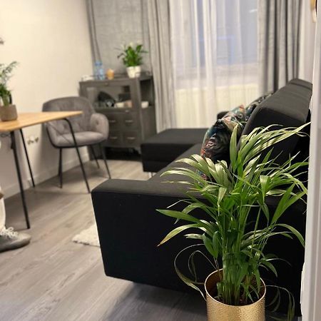 Musai Apartment Braşov Extérieur photo