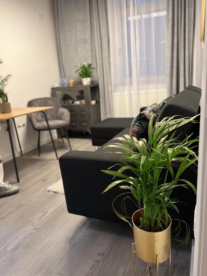 Musai Apartment Braşov Extérieur photo